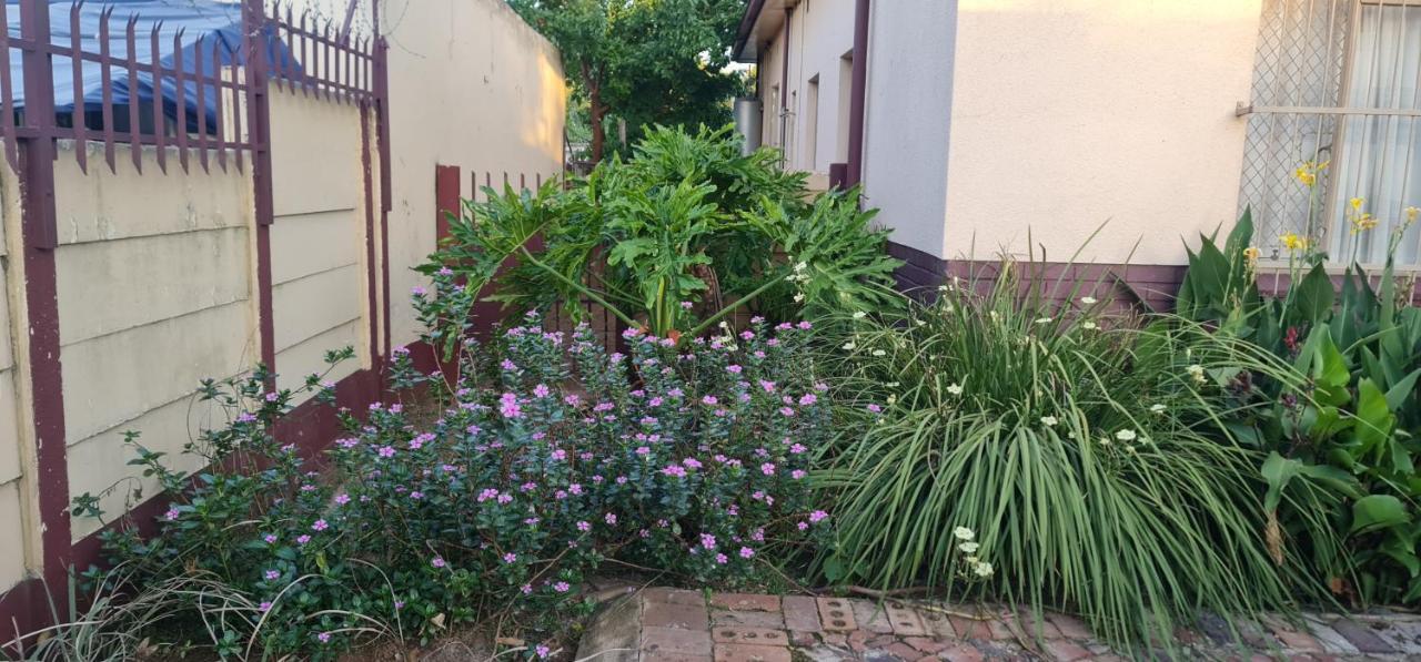 My House Guest House Pretoria-Noord Εξωτερικό φωτογραφία