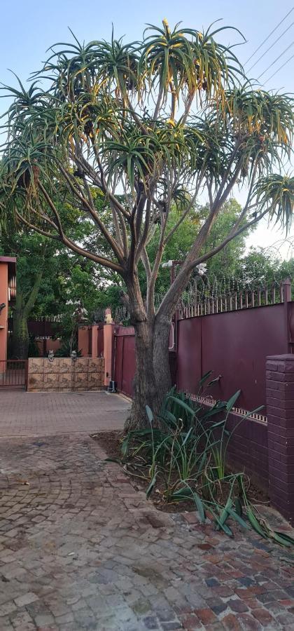 My House Guest House Pretoria-Noord Εξωτερικό φωτογραφία