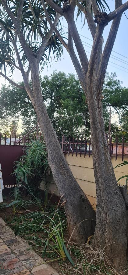 My House Guest House Pretoria-Noord Εξωτερικό φωτογραφία