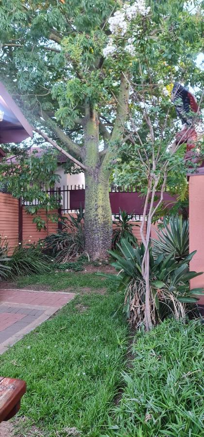 My House Guest House Pretoria-Noord Εξωτερικό φωτογραφία