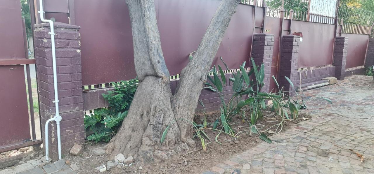 My House Guest House Pretoria-Noord Εξωτερικό φωτογραφία